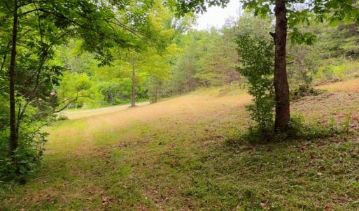 Lot 1 Bear Ln.