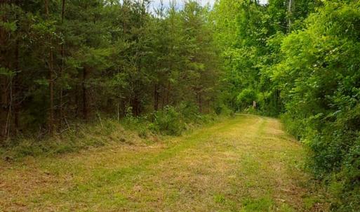 Lot 1 Bear Ln.
