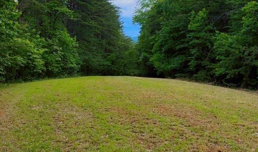 Lot 6 Bear Ln.