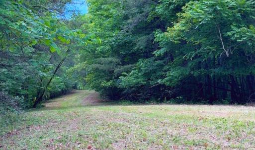 Lot 6 Bear Ln.