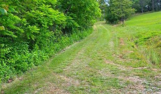 Lot 6 Bear Ln.