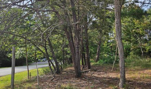 Left side of lots at Beechwood Shores