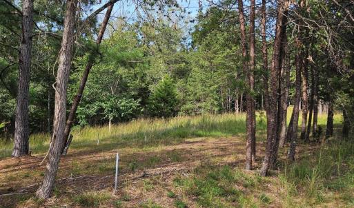 Other lot view at Beechwood Shores