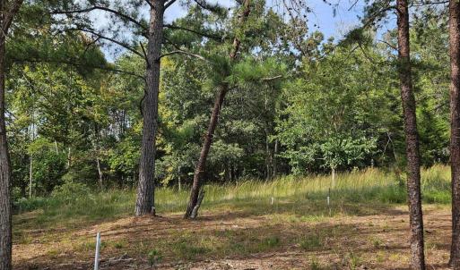 Photo of lot at Beechwood Shores