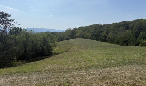 IMG_9980