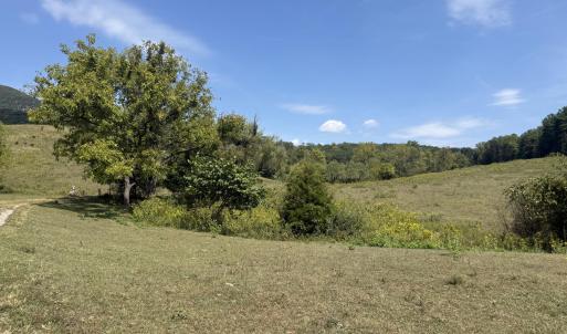 IMG_9960