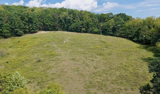 Buchanan - 45