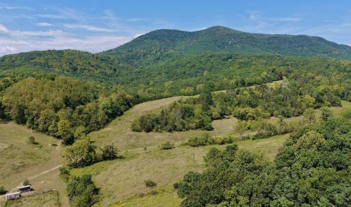 Buchanan - 46