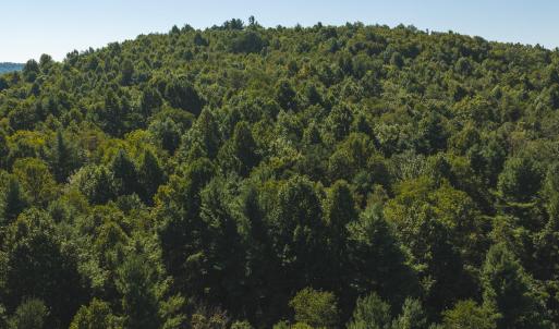 DJI_20260916113600_0189_D