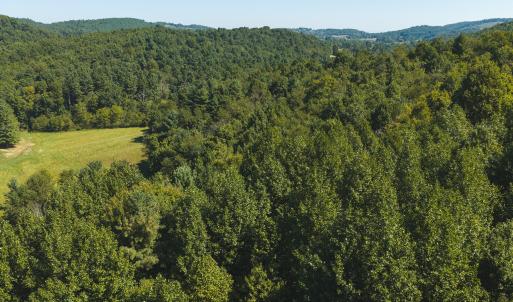 DJI_20260916113810_0197_D