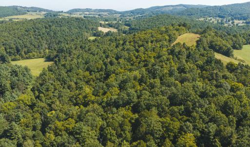 DJI_20260916113848_0199_D
