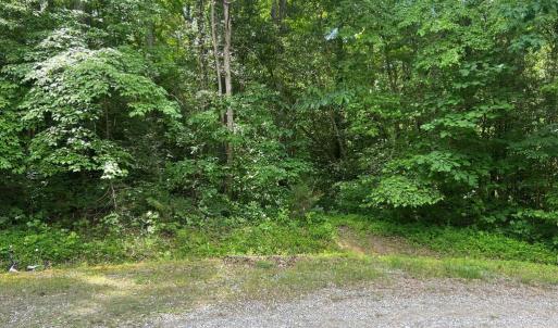 Photo #2 of 5517 FOREST VIEW DR, PARTLOW, VA 5.0 acres