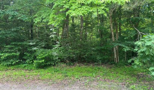 Photo #3 of 5517 FOREST VIEW DR, PARTLOW, VA 5.0 acres
