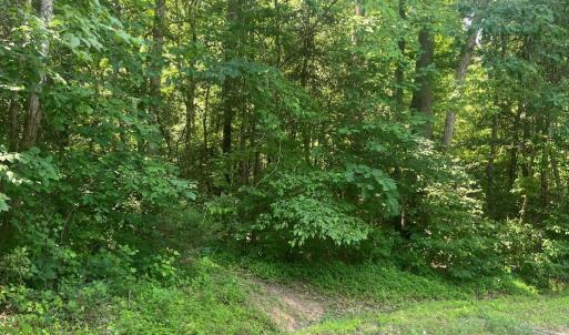 Photo #1 of 5517 FOREST VIEW DR, PARTLOW, VA 5.0 acres
