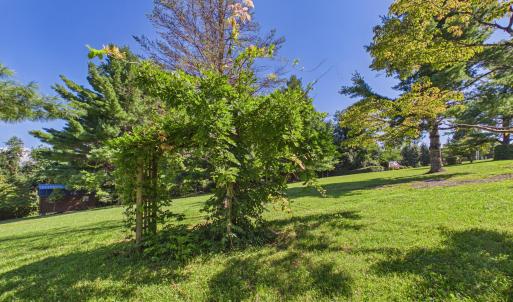 Ridge Oak (6)
