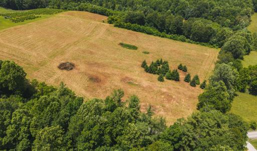 DJI_20250618135200_0437_D
