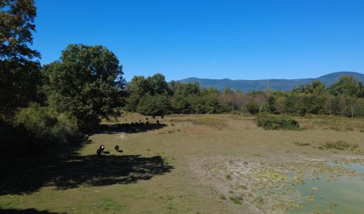 DJI_0673