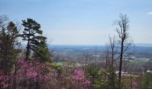 Lot 44 summit
