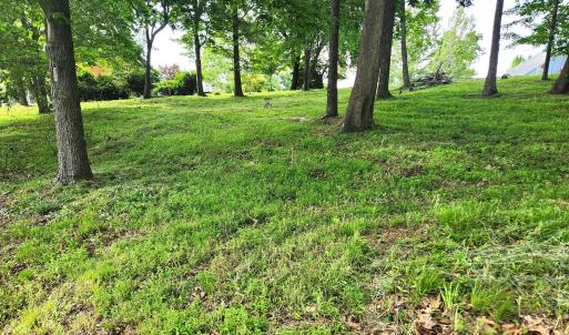 Lot view