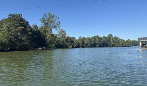 full pond