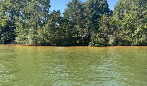shoreline full pond - Copy