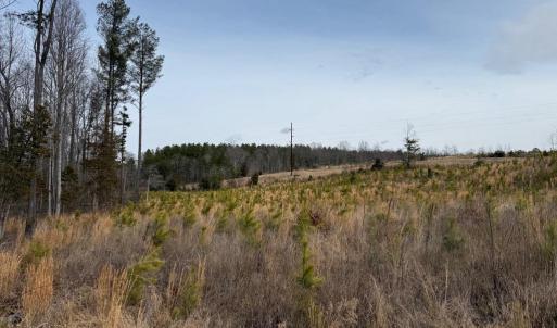 Photo #6 of  35.0 acres