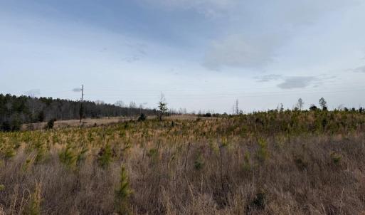 Photo #2 of  35.0 acres