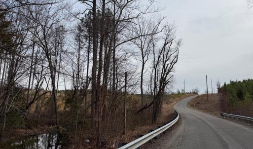 Photo #7 of  35.0 acres