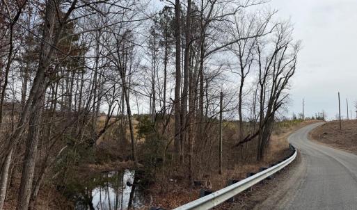 Photo #8 of  35.0 acres