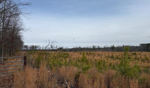 Photo #12 of  35.0 acres