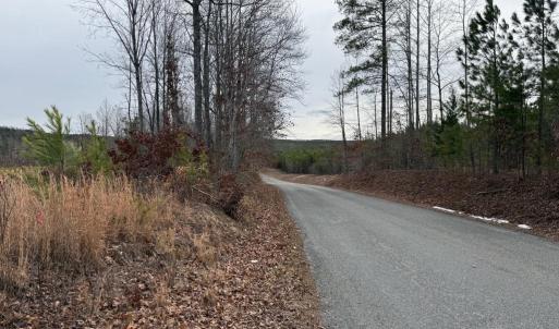 Photo #13 of  35.0 acres