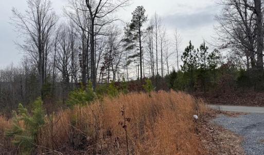 Photo #14 of  35.0 acres
