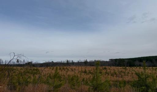 Photo #15 of  35.0 acres