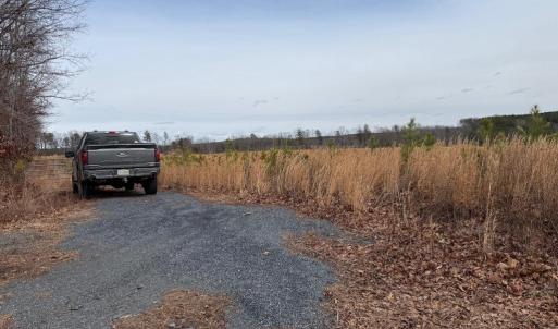 Photo #16 of  35.0 acres