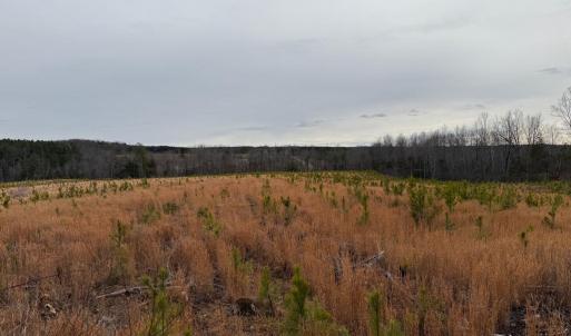 Photo #21 of  35.0 acres