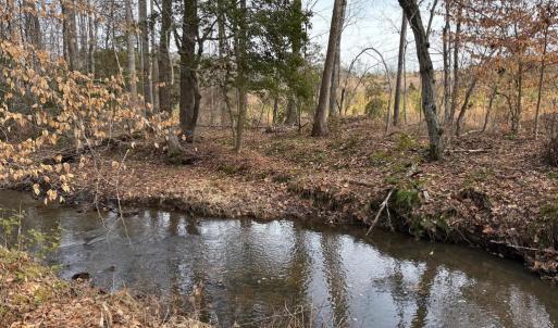 Photo #26 of  35.0 acres