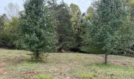 lot 5b