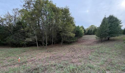 Lot 4