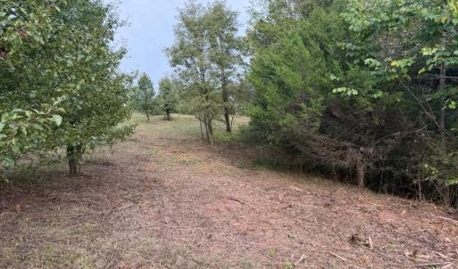 lot 4a