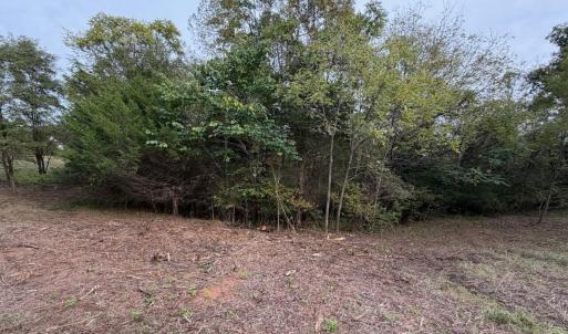 lot 4b