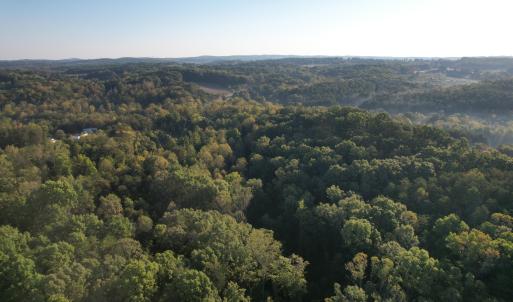 DJI_0767