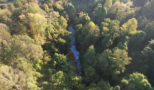 DJI_0772