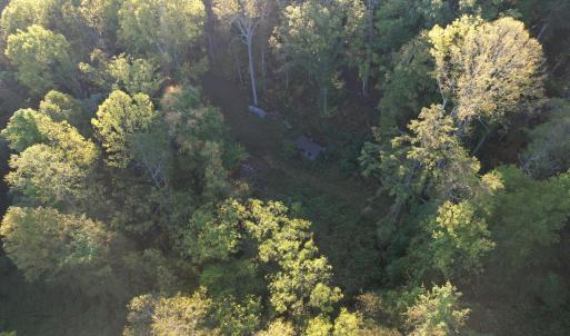 DJI_0774