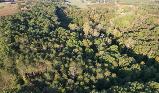 DJI_0778
