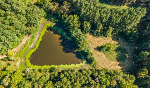 52_dji_20260915155614_0099_d