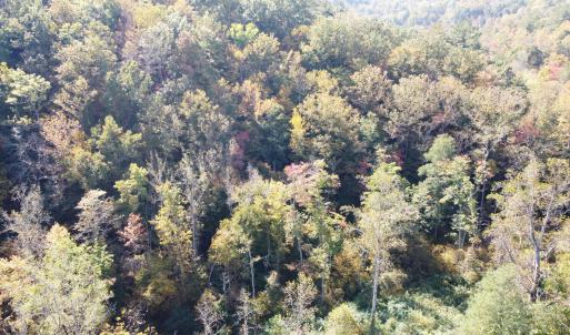 DJI_0668
