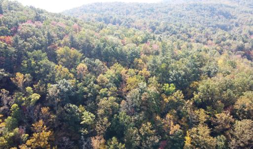 DJI_0678