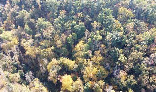 DJI_0685