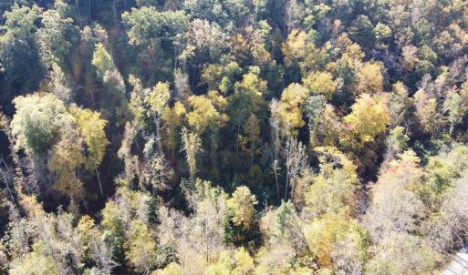 DJI_0690