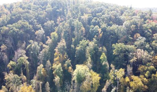 DJI_0693